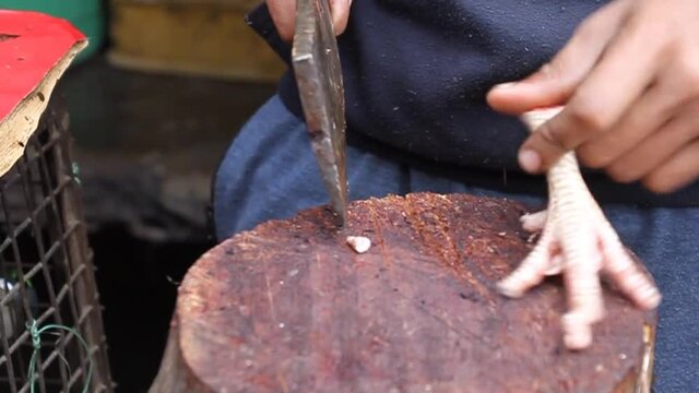 Detail of a butcher cutting chicken in Lucknow, Uttar Pradesh state, India