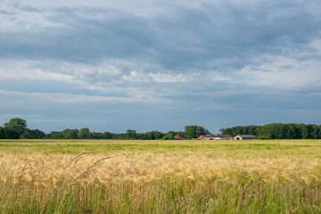Obraz premium Münsterland