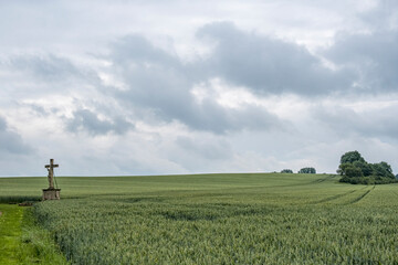 Feldkreuz