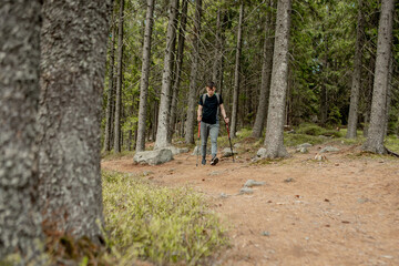 Obraz premium A man is a tourist in a pine forest with a backpack. A hiking trip through the forest. Pine reserve for tourist walks. A young man in a hike in the summer.