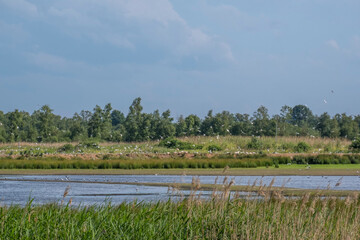 Naturschutzgebiet Zwillbrocker Venn