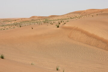 Hot and arid desert sand dunes terrain in Sharjah emirate in the United Arab Emirates. The oil-rich UAE receives less than 4 inches of rainfall a year and relies on water from desalination plants.