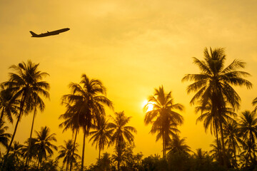 Airplane flying over tropical palm tree at sunset evening. Business airline concept.