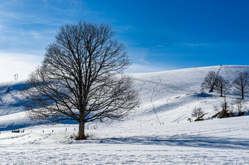 Winter landscape in the mountains of the Swiss Juras. The snow-covered hills show the tracks of the walkers.