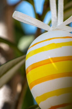 Easter Eggs Hanging From A Cherry Laurel Branch