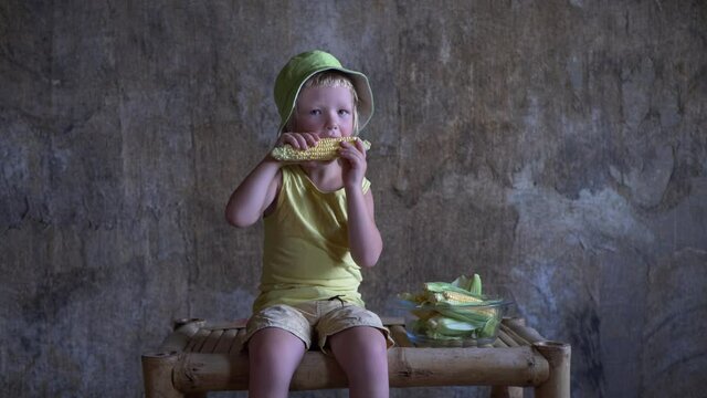 Happy blond-haired boy in yellow T-shirt and green hat cleans ears of fresh corn in room on gray background. child rejoices in a new crop of his favorite treats