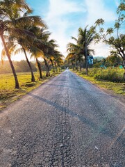 Obraz premium palm trees on the road