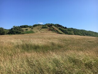 Obraz premium green field and blue sky