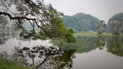 Fototapeta na wymiar Taiping Lake