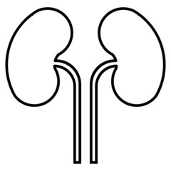 vector illustration of kidney shape