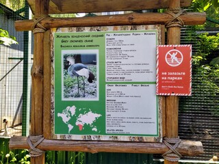 Obraz premium Info of grey crowned crane on info board in zoo