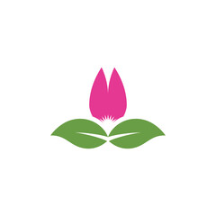 Beauty Vector lotus icon