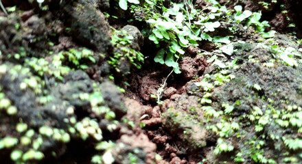 LAND SCAPE 21223