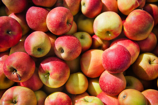 red apples in a market