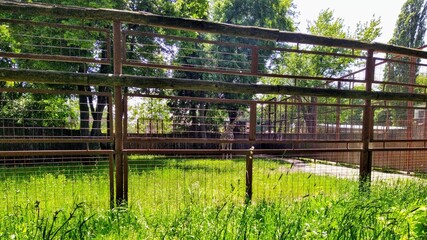 Aviaries with giraffes in city zoo © Samumneo