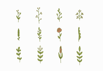 Fototapeta premium tiny simple botanical illustrations, line artwork, minimal design elements. elegant and delicate plant doodles for branding, wedding invitation, graphic design. spring floral clip art , feminine art