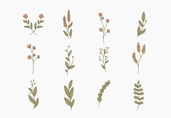 tiny simple botanical illustrations, line artwork, minimal design elements. elegant and delicate plant doodles for branding, wedding invitation, graphic design. spring floral clip art , feminine art © grpxstore