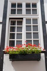 aspirational home with window box 