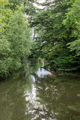 Fototapeta na wymiar tree reflections in river 
