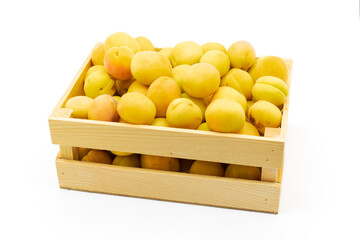 Freshly harvested apricots in cases. sweet beautiful apricots in small casing on white background