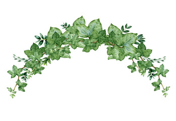 Green ivy arch bouquet watercolor illustration. Hand drawn decorative hedera border. Evergreen garden plant botanical ornament. Ivy lush arrangement isolated on white background - obrazy, fototapety, plakaty