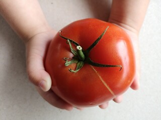 Pomidor.