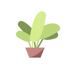 Decorative plant semi flat RGB color vector illustration. Small potted flower isolated cartoon object on white background. Green houseplant, home natural decoration. Homeplants growing hobby