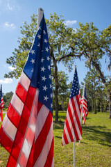 American flags displayed on Independence Day, the 4th. of July