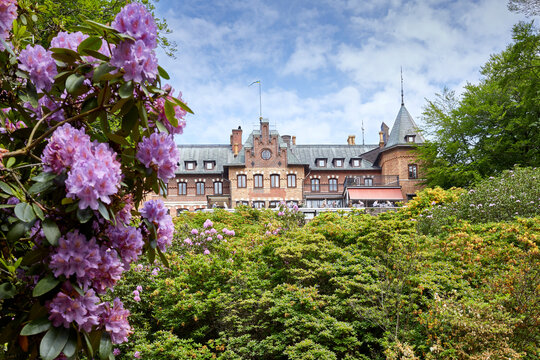 Flowers in Sofiero park in Helsingborg, Sweden.