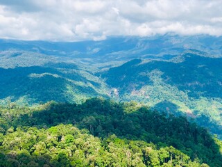 Mountain landscape with trees and clouds