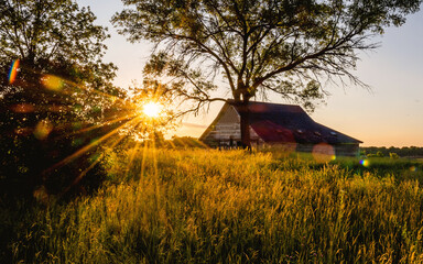 An old abandoned barn under sunset with sunburst, sunstars