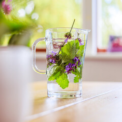 Cold refreshing water jar in summer: Tasty lemonade with herbs, multi colored