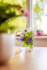 Cold refreshing water jar in summer: Tasty lemonade with herbs, multi colored