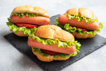 Hot dogs on a concrete grey background. Hot dog with lettuce tomato and sausage. Copy space.