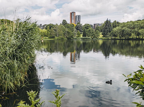 A lake in the Vale village, Edgbaston, Birmingham, England