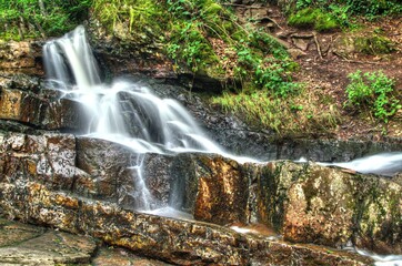 Obraz premium Cascade de l'arbre d'or