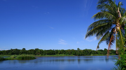 River with background of blue sky and coconut tree