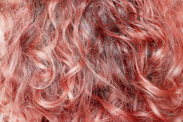 red curly hair closeup background, woman hair texture © lesslemon