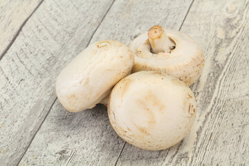 Raw Champignon heap for cooking