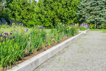 Iris Garden Bed