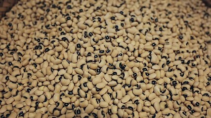 Black-eyed peas (fesolets de negre) in wicker basket on shelf of grocery store