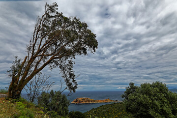 Fototapeta na wymiar Isula rossa lighthouse balagne Corsica