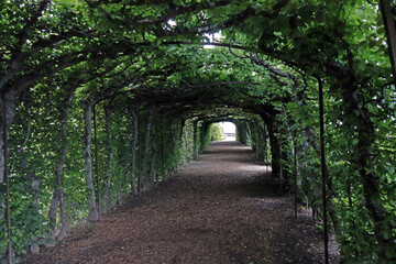 Waldweg