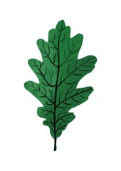 green oak leaf