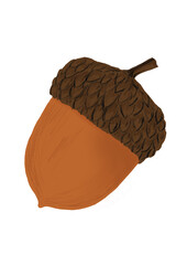 Acorn