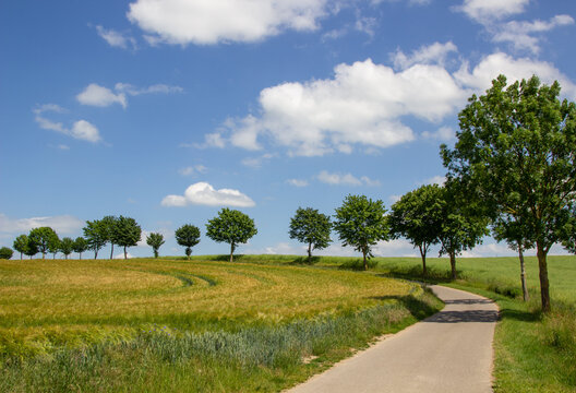 Landstra&szlig;e in Mecklenburg-Vorpommern