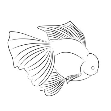 Line Goldfish Oranda Logo Vector Design Stock Vector Adobe Stock Line Goldfish Oranda Logo Vector Design Stock Vector Adobe Stock