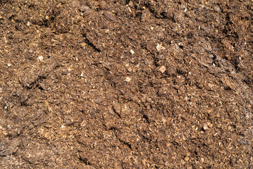 Natural eco-friendly fertilizer for the soil - horse manure.