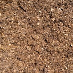Natural eco-friendly fertilizer for the soil - horse manure.