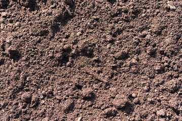 Artificial soil - a mixture of black soil, peat and sand